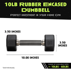Octo Rubber Dumbbell (sold individually)
