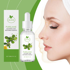 Purslane Soothing Repair Serum For Hydrating Redness Care
